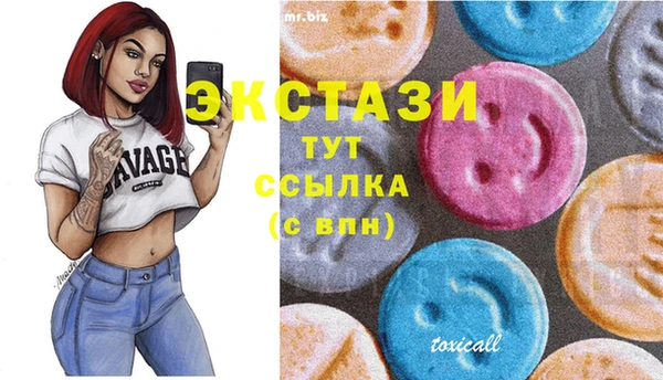 молекула духа Бородино