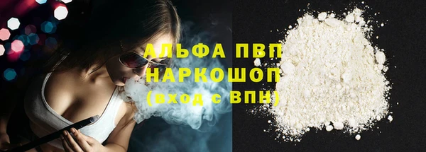 молекула духа Бородино