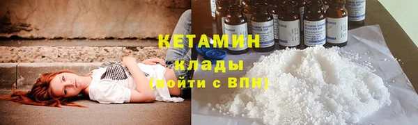 молекула духа Бородино