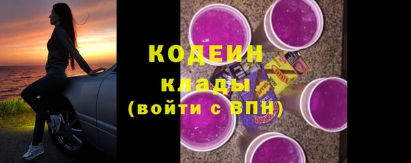 индика Беломорск