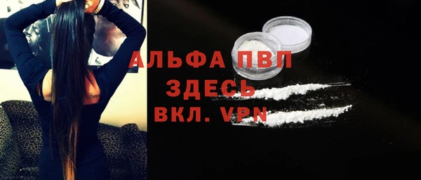 стаф Верея