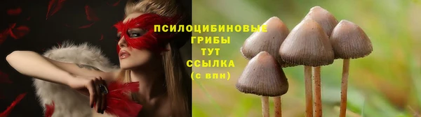 молекула духа Бородино