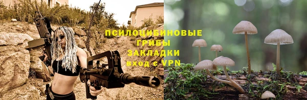 молекула духа Бородино