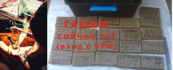 молекула духа Бородино
