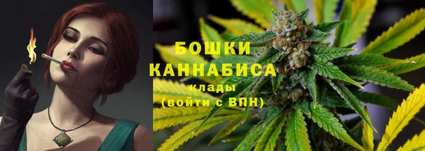 молекула духа Бородино